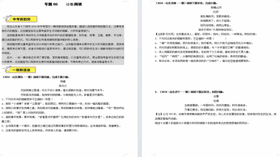 诗歌阅读-2025年中考语文备考（原卷版）