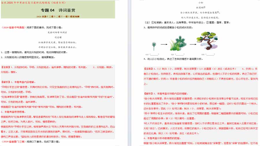 诗词鉴赏-备战2025年中考语文复习最新试题精选（福建专用）（解析版）