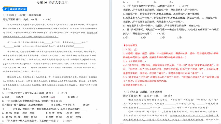 语言文字运用-2024年中考语文一模试题分类汇编（武汉专用）解析版