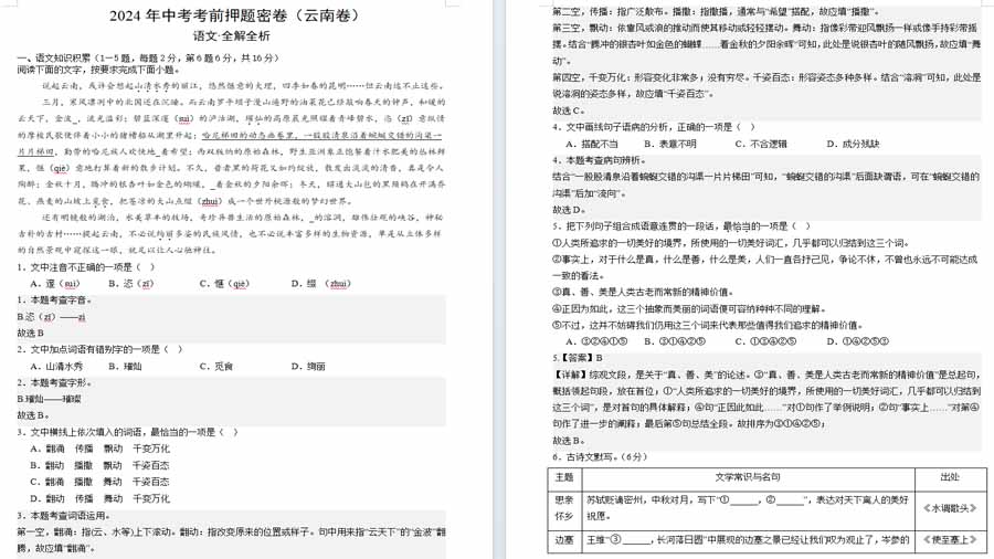 2024年语文中考试卷（云南卷）（全解全析）