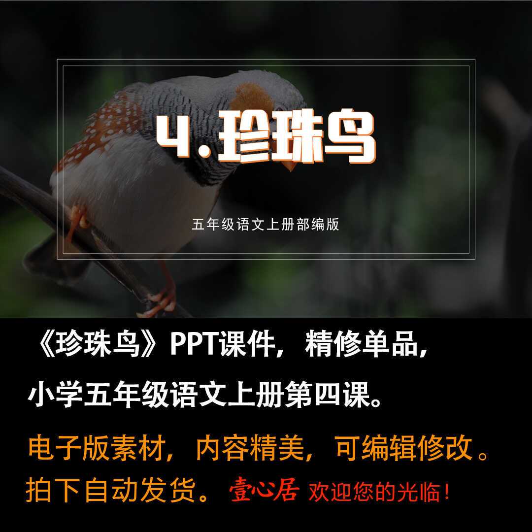 《珍珠鸟》PPT课件精修单品五年级上册语文第四课同步教学-壹心居