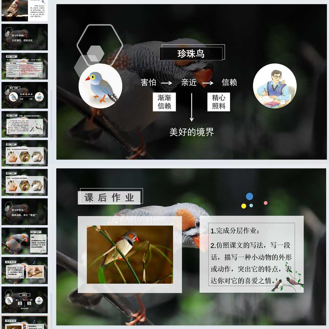 《珍珠鸟》PPT课件精修单品五年级上册语文第四课同步教学