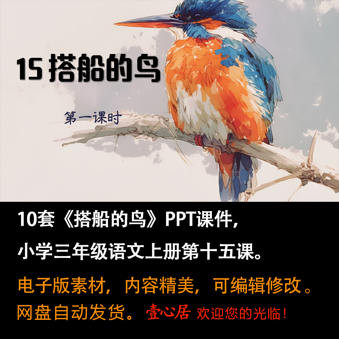 《搭船的鸟》PPT课件10套小学三年级上册语文第十五课教学课件-壹心居